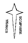 SCRIPTURE TISSUES