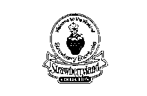 WELCOME TO THE WORLD OF STRAWBERRY SHORTCAKE STRAWBERRYLAND COLLECTION