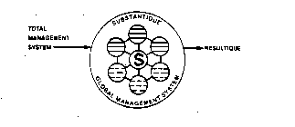 S TOTAL MANAGEMENT SYSTEM SUBSTANTIQUE GLOBAL MANAGEMENT SYSTEM RESULTIQUE