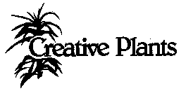 CREATIVE PLANTS