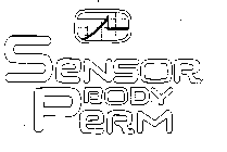 SENSOR BODY PERM