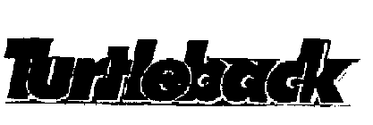 TURTLEBACK