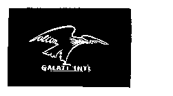 GALATI INT'L