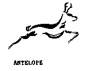 ANTELOPE