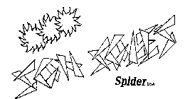 SPIDER USA