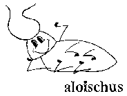 ALOISCHUS