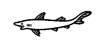 Image Trademark