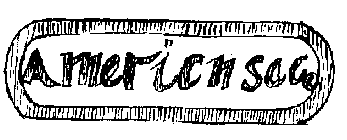 AMERICAN SAC