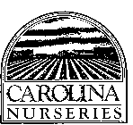 CAROLINA NURSERIES