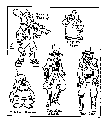 THIRTY/THIRTY DEPUTY FUZZ OUTLAW SCUZZ THUNDER STICK TEX HEX