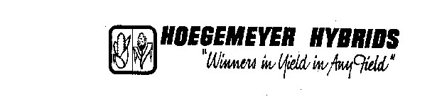 HOEGEMEYER HYBRIDS 