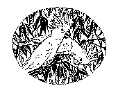 Image Trademark