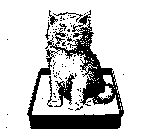 Image Trademark