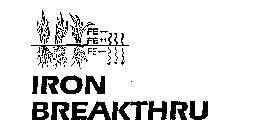 IRON BREAKTHRU FE