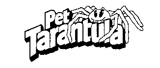 PET TARANTULA