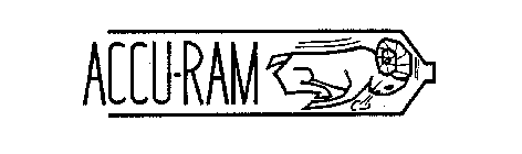 ACCU-RAM