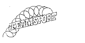 TEAMSPORT