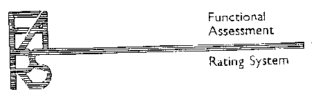FUNCTIONAL ASSESSMENT RATING SYSTEM