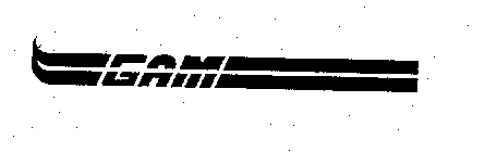 GAM
