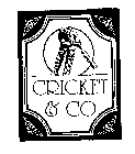 CRICKET & CO