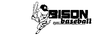 BISON BASEBALL