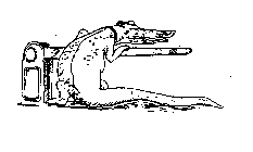 Image Trademark