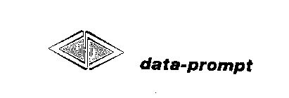 DATA-PROMPT