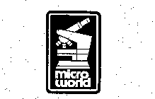 MICRO WORLD