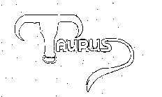 TAURUS