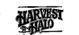 HARVEST HALO