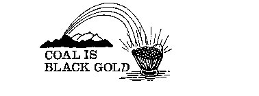 COAL IS BLACK GOLD