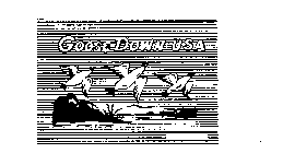 GOOSE DOWN USA