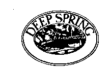 DEEP SPRING