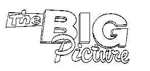 THE BIG PICTURE