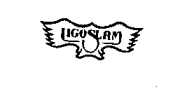 LIGOSLAM