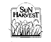 SUN HARVEST