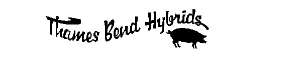 THAMES BEND HYBRIDS