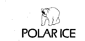 POLAR ICE