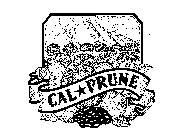 CAL-PRUNE