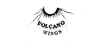 VOLCANO WINGS