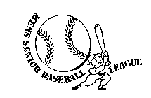 MENS SENIOR BASEBALL LEAGUE