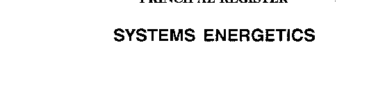 SYSTEMS ENERGETICS