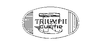 TRIUMPH CUE TIP