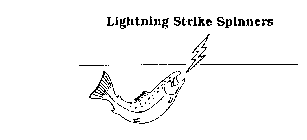 LIGHTNING STRIKE SPINNERS
