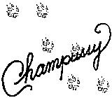 CHAMPUSSY