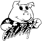 COOL PIG