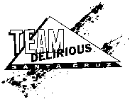 TEAM DELIRIOUS SANTA CRUZ