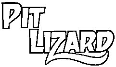 PIT LIZARD