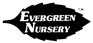 EVERGREEN NURSERY