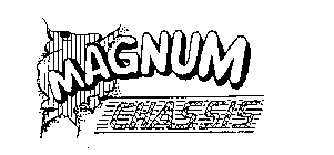 MAGNUM CHASSIS